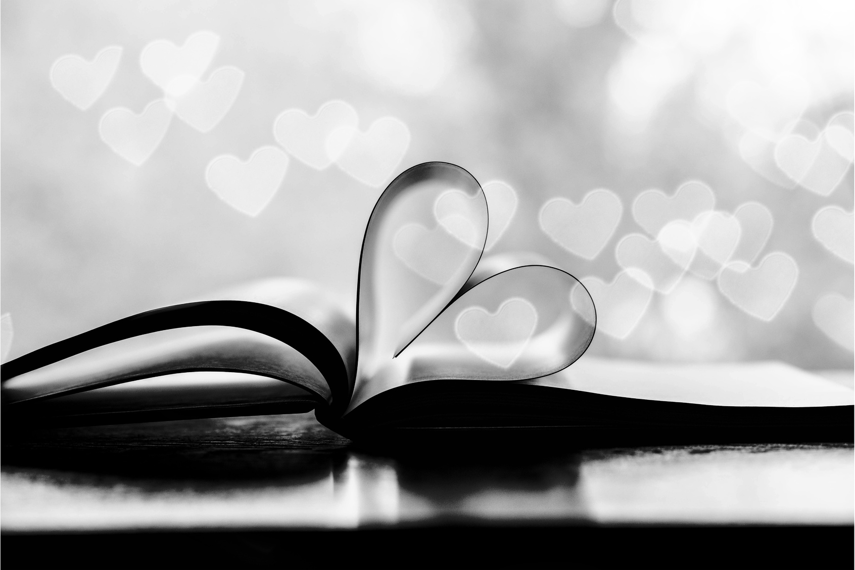 Book Love